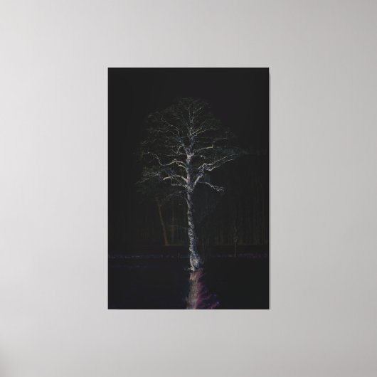 ダークサイド3 40x60 (100x150cm)ワットnm キャンバスプリント (正面)