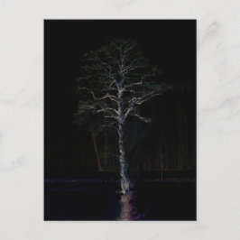 ダークサイド3 pccnm ポストカード