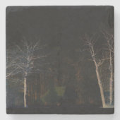 ダークサイド4コースタクナ ストーンコースター (正面)