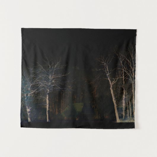 ダークサイド4ワットnm タペストリー (正面(横))