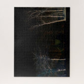 ダークサイド4 16x20 520pc jpcn ジグソーパズル (縦)