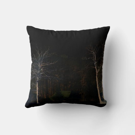 ダークサイド4 tpcnm クッション (裏面)