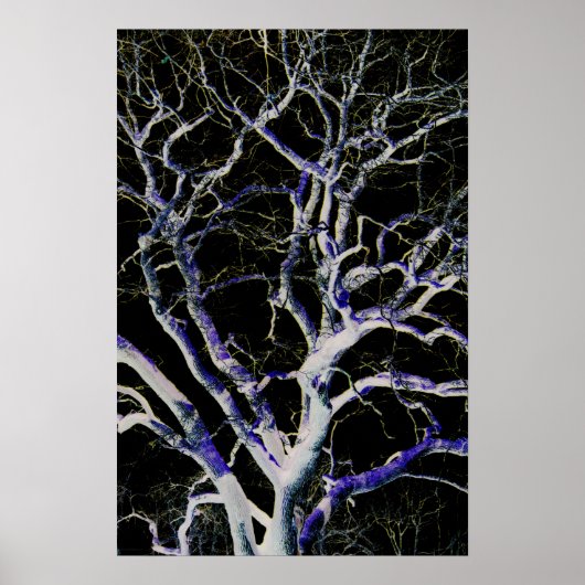 ダークサイド5 wapcnポスター ポスター (正面)