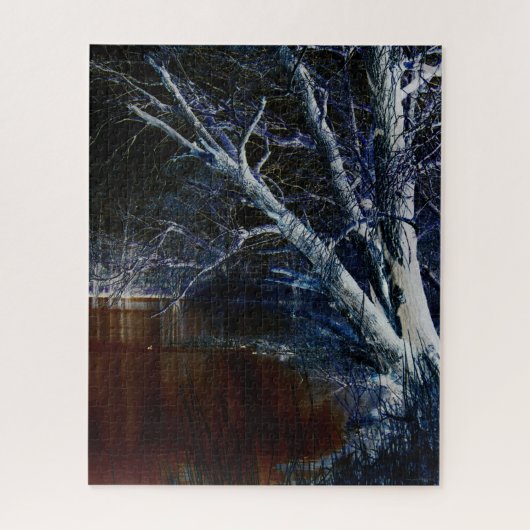 ダークサイド7 16x20 520pc jpcnm ジグソーパズル (縦)