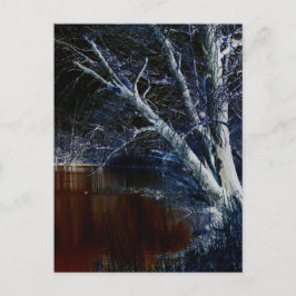 ダークサイド7 pccna ポストカード