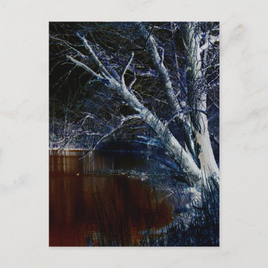 ダークサイド7 pccna ポストカード (正面)