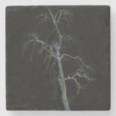 ダークサイド8コースタクナ ストーンコースター (正面)