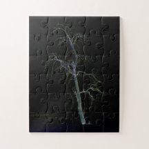 ダークサイド8 11x14 30pc jpcnm