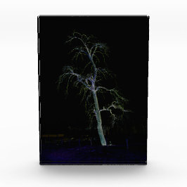 ダークサイド8 pbcna フォトブロック