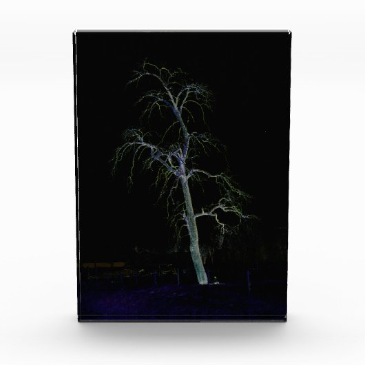 ダークサイド8 pbcna フォトブロック (正面)