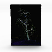 ダークサイド8 pbcnm