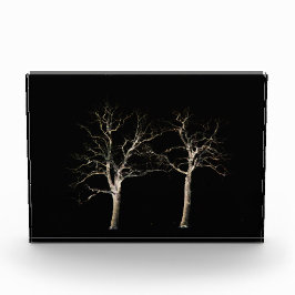 ダークサイド9 pbcna フォトブロック