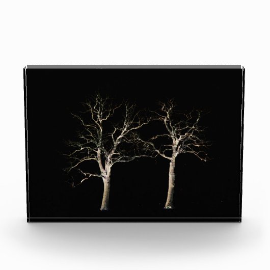 ダークサイド9 pbcnm フォトブロック (正面)