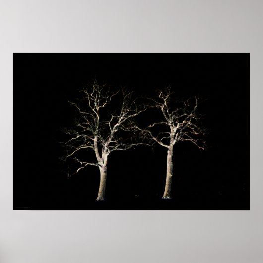 ダークサイド9 wapcn ポスター (正面)