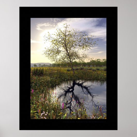 ダークサイド – ルコートオブスクール ポスター (正面)