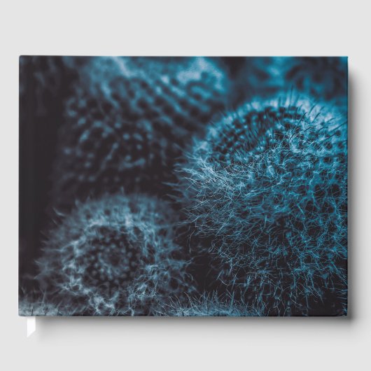 ダークサボテン ゲストブック (正面)