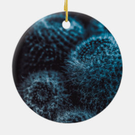 ダークサボテン セラミックオーナメント