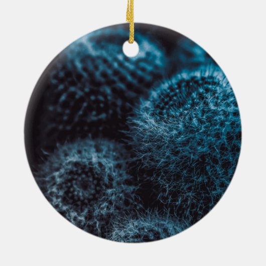 ダークサボテン セラミックオーナメント (裏面)