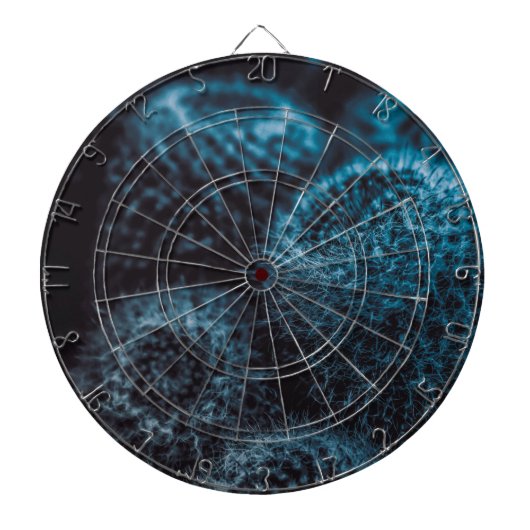 ダークサボテン ダーツボード (正面)