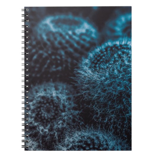 ダークサボテン ノートブック (正面)