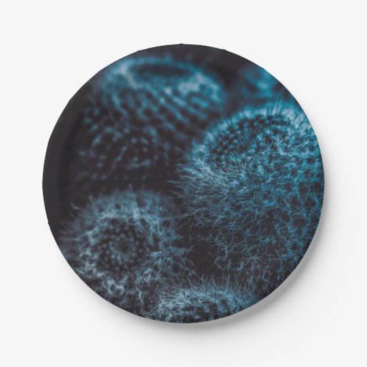 ダークサボテン ペーパープレート (正面)