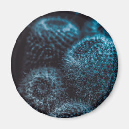 ダークサボテン マグネット