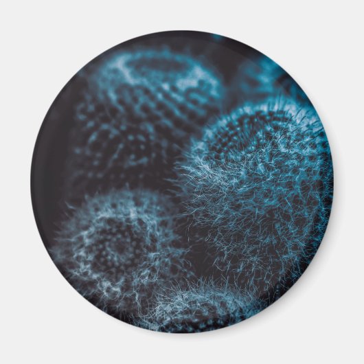 ダークサボテン マグネット (正面)