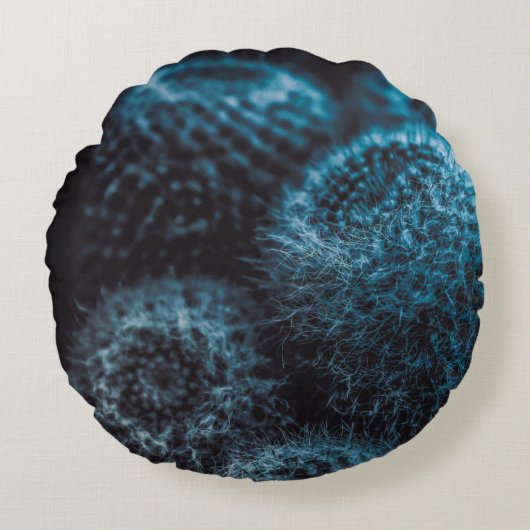 ダークサボテン ラウンドクッション (正面)