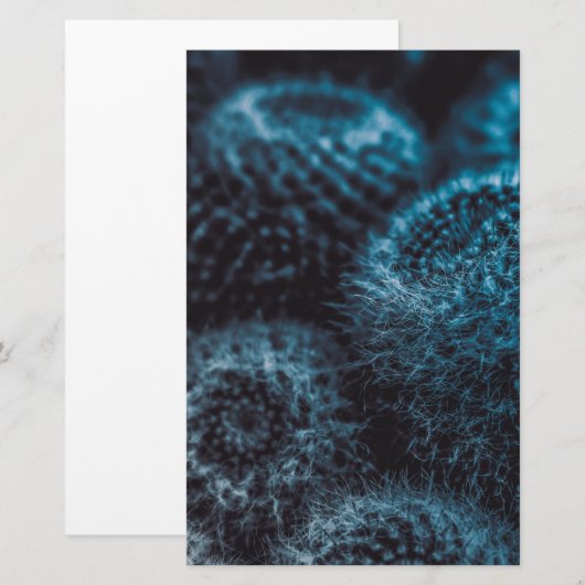 ダークサボテン 便箋 (正面/裏面)