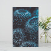 ダークサボテン 便箋 (スタンド正面)