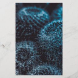 ダークサボテン 便箋