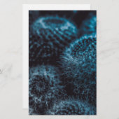 ダークサボテン 便箋 (正面/裏面)