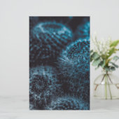 ダークサボテン 便箋 (スタンド正面)