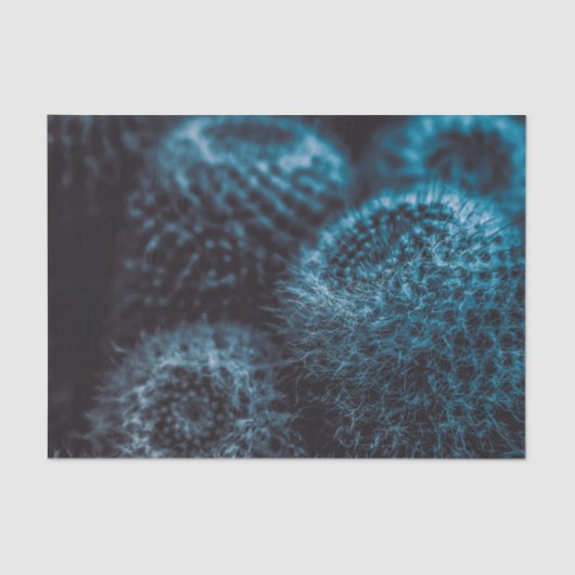 ダークサボテン 薄葉紙 (正面)