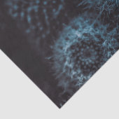 ダークサボテン 薄葉紙 (詳細)