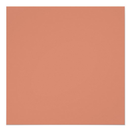 ダークサーモン ポスター (正面)