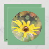 ダークシーグリーンに黒い目のスーザン花 シーズンカード (正面/裏面)