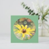 ダークシーグリーンに黒い目のスーザン花 シーズンカード (スタンド正面)