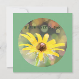 ダークシーグリーンに黒い目のスーザン花 シーズンカード
