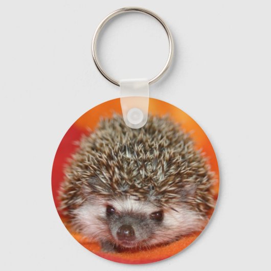 ダークスタンダードhh キーホルダー (正面)