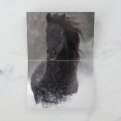 ダークスノーホース - 馬のグリーティングカード カード (内部)