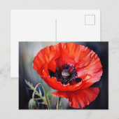 ダークセンターと明るい赤のポピー ポストカード (正面/裏面)