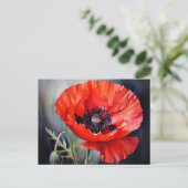 ダークセンターと明るい赤のポピー ポストカード (スタンド正面)