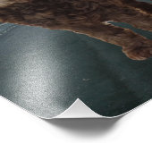 ダークチョコレートコックパプー写真#2 フォトプリント            (角)