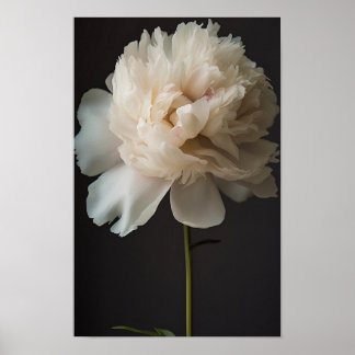 ダークバックに緑の離れ牡丹の花 ポスター