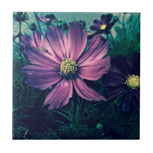 ダークパープルの花の写真アート タイル (正面)