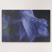 ダークパープルバラ花 ジグソーパズル (横)