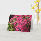 ダークピンクのマム カード (黄色い花)