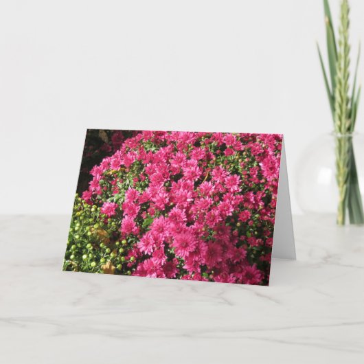 ダークピンクのマム カード (正面)