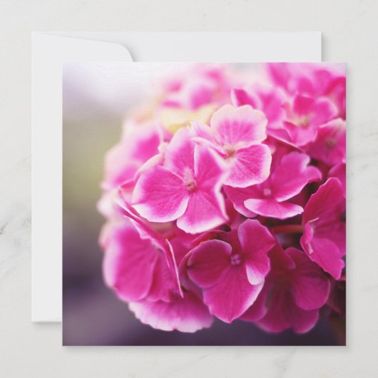 ダークピンクアジサイブライダルシャワー 招待状 (裏面)